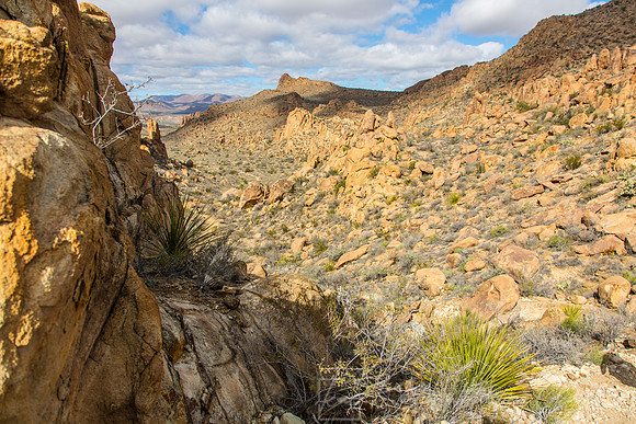 Grapevine Hills Big Bend KAC0109