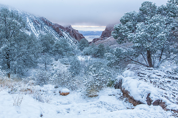Big Bend National Park Snow KAC0638nik