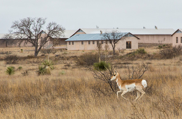 1 Chinati Foundation Marfa KAC5217