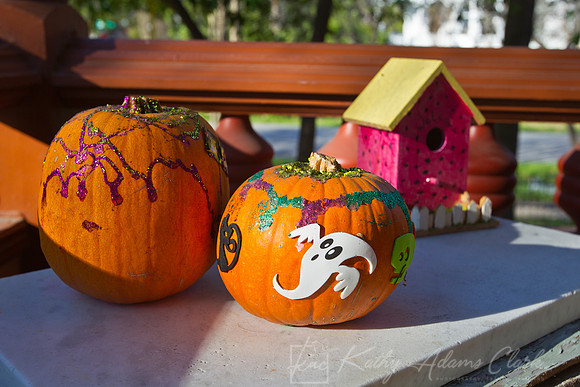 Halloween pumpkins KAC7228
