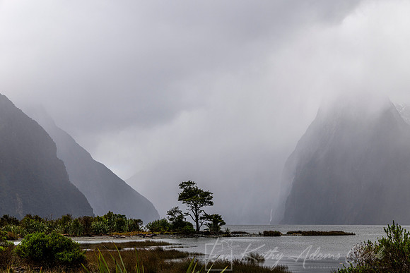 Milford Sound KAC944