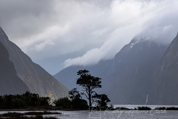 Milford Sound KAC959