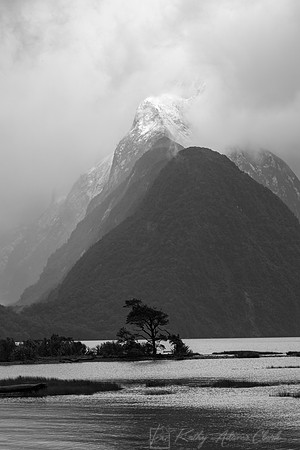Milford Sound KAC965