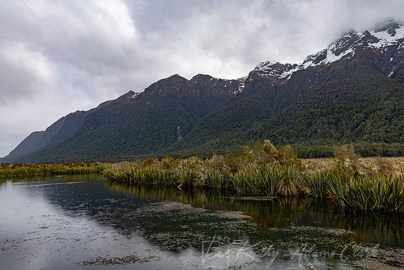 Mirror Lake Milford Sound KAC889