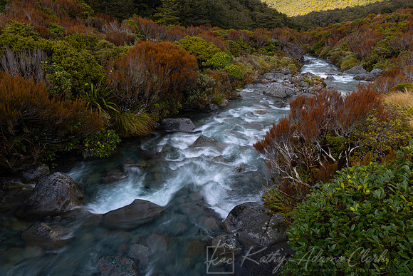 Stream Arthur's Pass KAC867