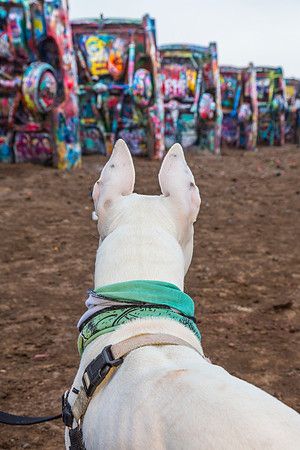 6 Cadillac Ranch KAC4802
