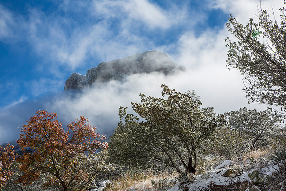 Big Bend National Park Snow KAC0080