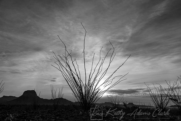 Sunrise Big Bend KAC0215