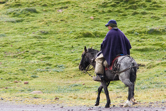 Ecuadorian man on horse KAC607447