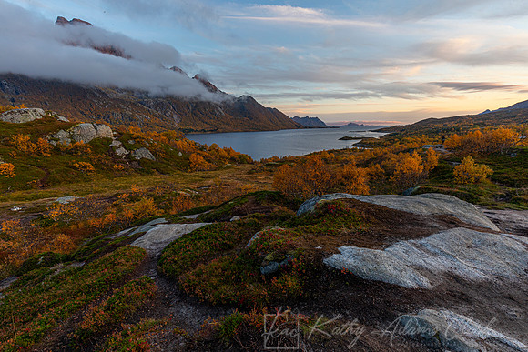 Austnesfjord Lofoten Norway KAC6496