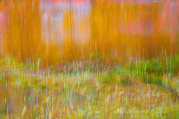 Autumn color Norway KAC6559blend