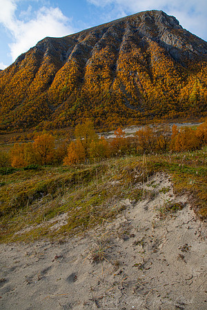 Morfjorden Lofoten Norway KAC6613