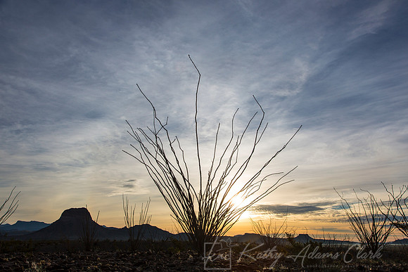 Sunrise Big Bend KAC0214
