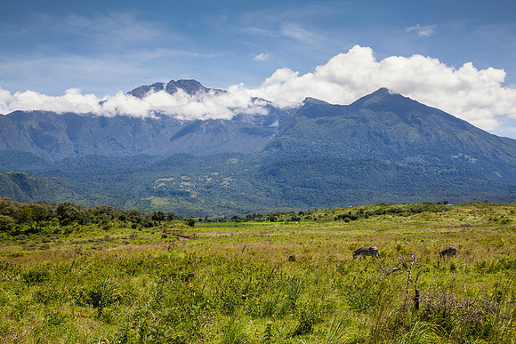 Mount Meru KAC0625