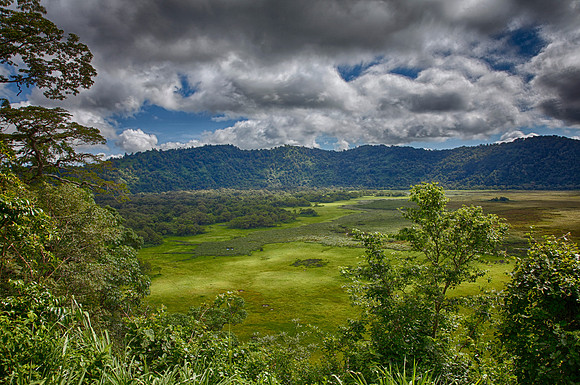 HDR Arush National Park KAC0606_HDR