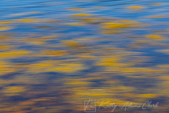 Motion Blur Seaweed KAC1731