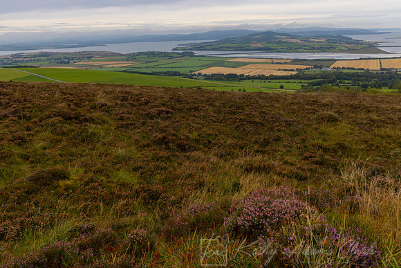 Ireland Countryside KAC1875