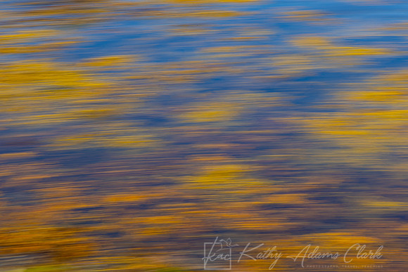 Motion Blur Seaweed KAC1733