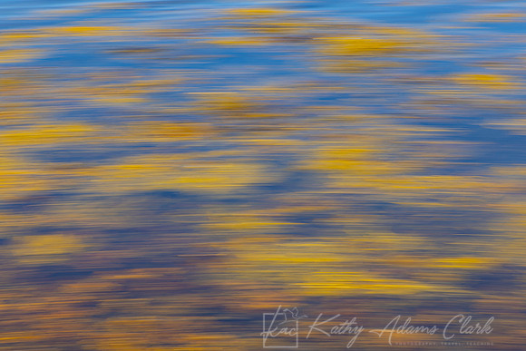 Motion Blur Seaweed KAC1735