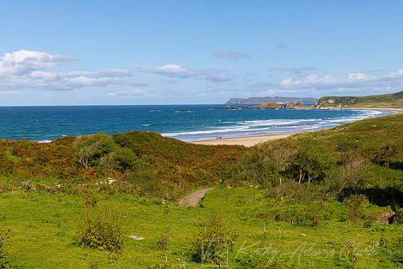 White Park Bay KAC1958