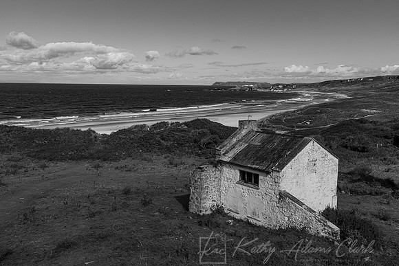 White Park Bay KAC1961
