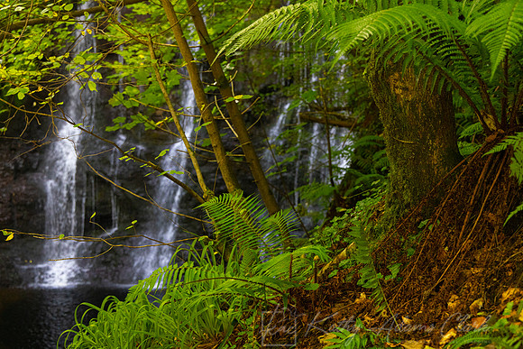 Glenariff Waterfall KAC1996