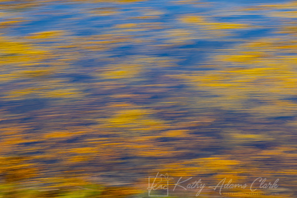 Motion Blur Seaweed KAC1737