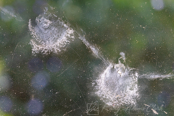 Window strike KAC4752