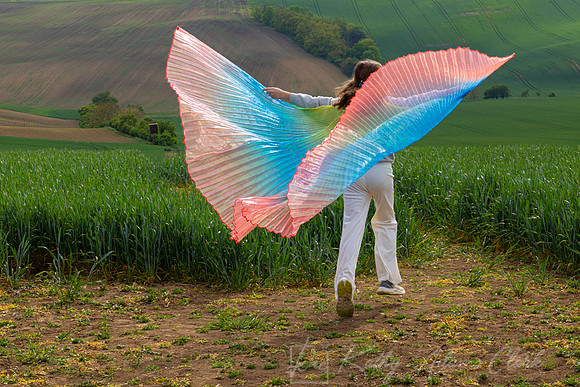 Girl Butterfly Wings KAC0398