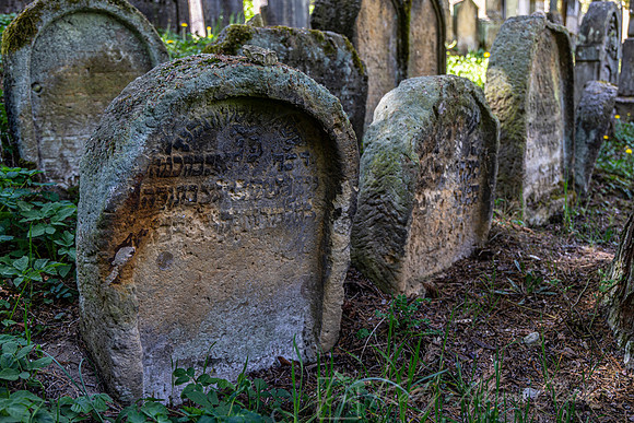 Radoun Cemetery Jewish Czech KAC0839