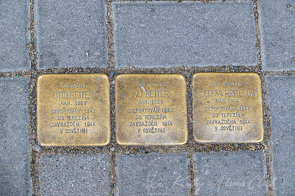 Stumbling Stone Czech KAC0273