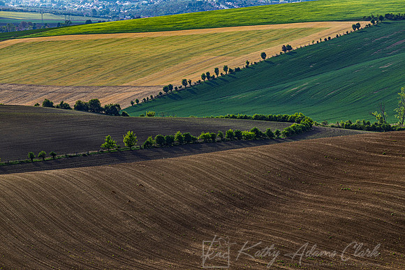 Wheat fields Moravia Czech KAC0541