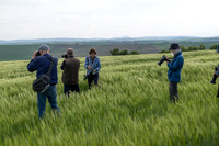Photographers Czech KAC0492