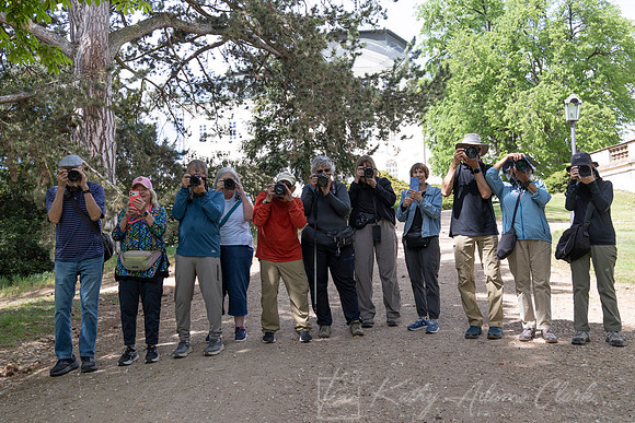 Photographers Czech KAC0486