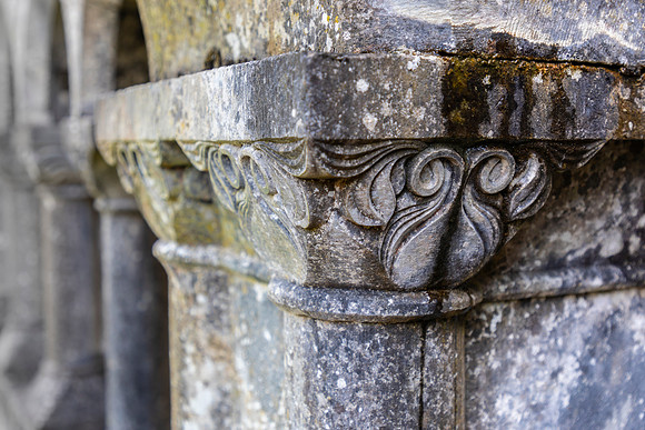 Cong Abbey Ireland KAC2665