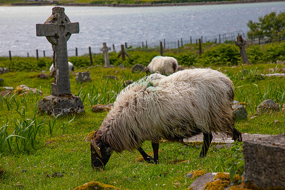 Kildownet Cemetery Ireland KAC6822