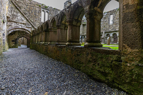 Ross Errilly Friary KAC0843