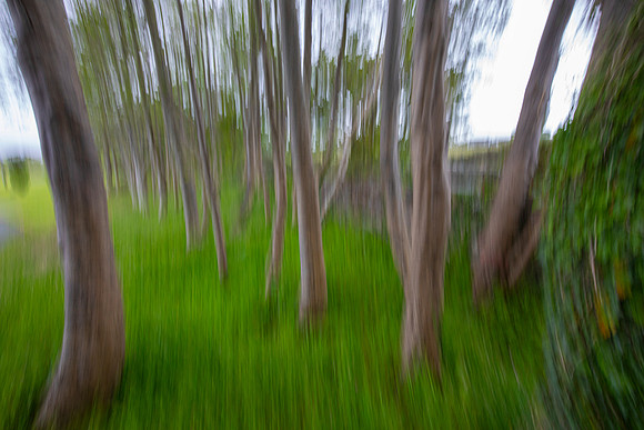 Motion Blur KAC5356