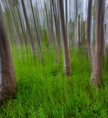 Motion Blur KAC5354_5blend