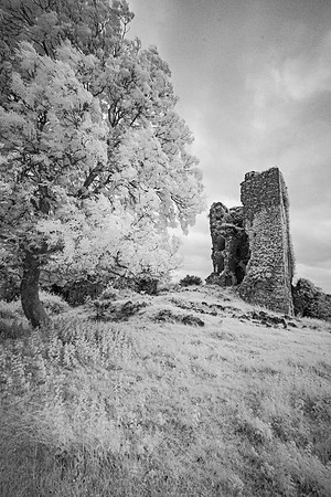 Infrared Castleburke KAC5491