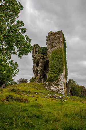 Castleburk Ireland KAC5541