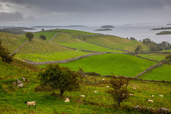 Green fields Ireland KAC1138