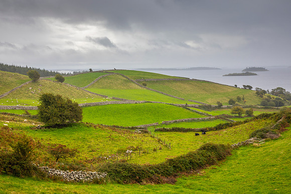 Green fields Ireland KAC1135