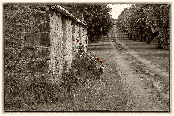 Irish cottage KAC5567nik