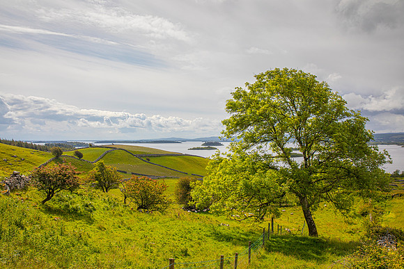 Green fields rock walls KAC5951