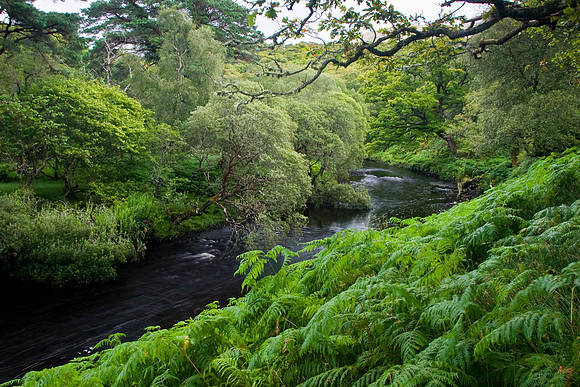 Erriff River KAC807380