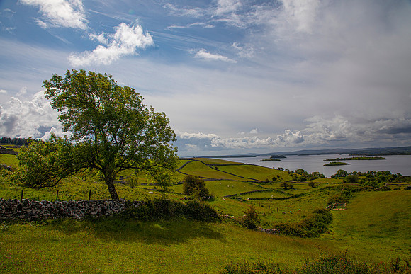 Green fields rock walls KAC5937