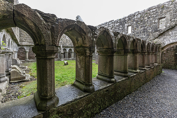 Ross Errilly Friary KAC0838
