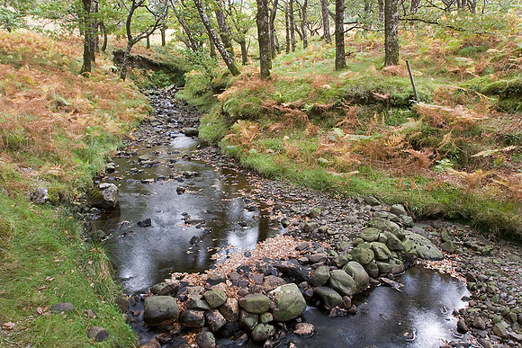 Stream Sheeffry Hills KAC10052