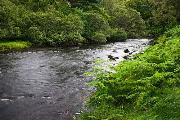 Erriff River KAC807383